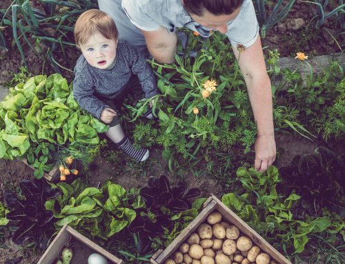 Los alteradores endocrinos: por qué y cómo evitarlos