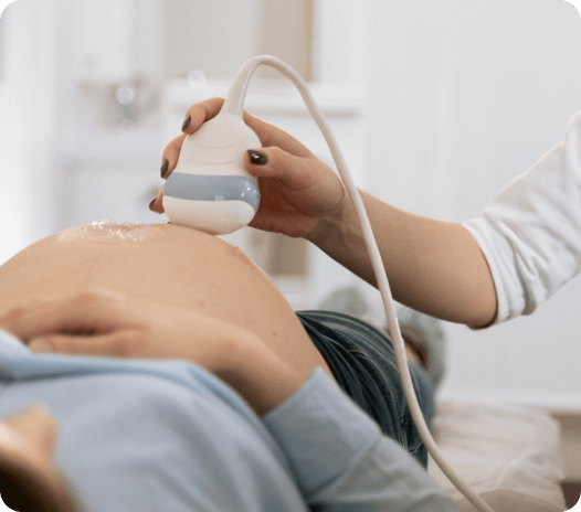 eugin-home-fecundacion-in-vitro