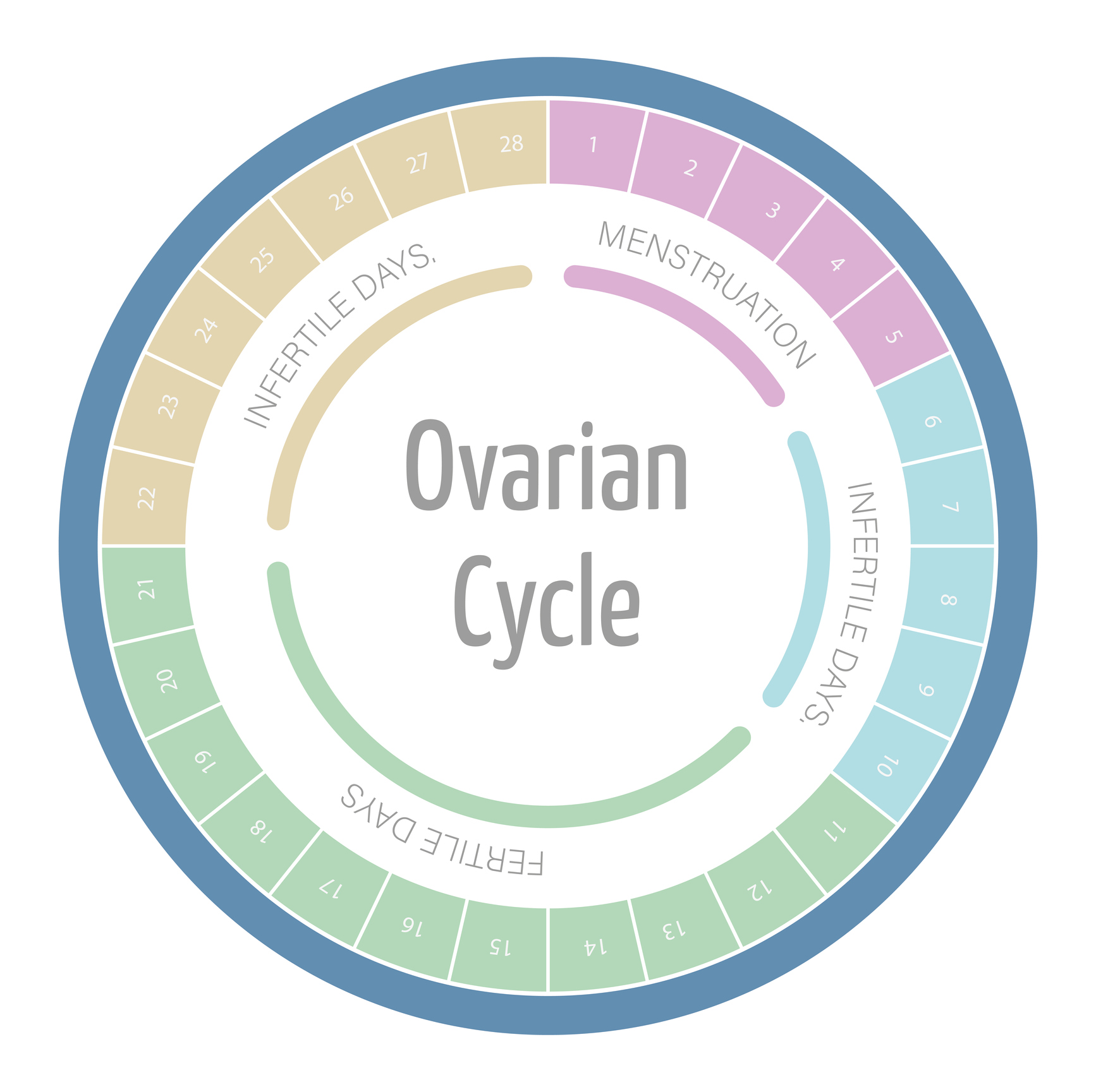 Calcular ovulación